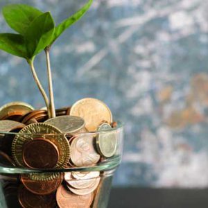 pot of coins with plant