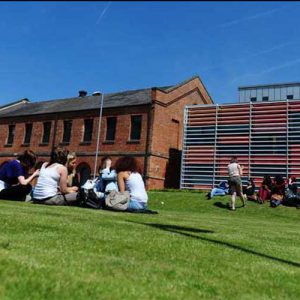 Students sitting on the grass