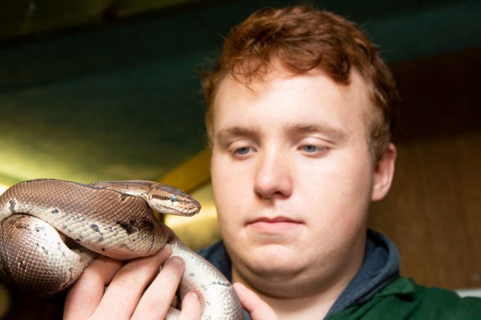 Student handling a snake at Broomfield Animal Centre