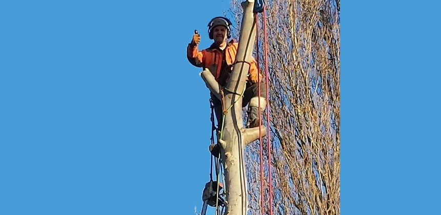 Andrew Patterson ascending a tree