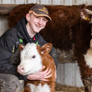 Archie Wensley with a calf
