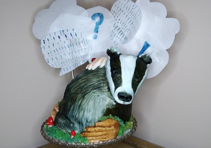 Cake of a badger