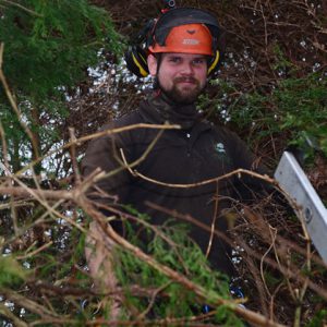 Nathaniel Confaloni working on a tree