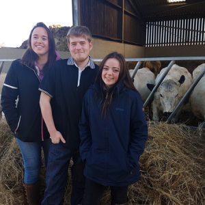 Agriculture students stood in front of cows on Broomfield Hall's farm