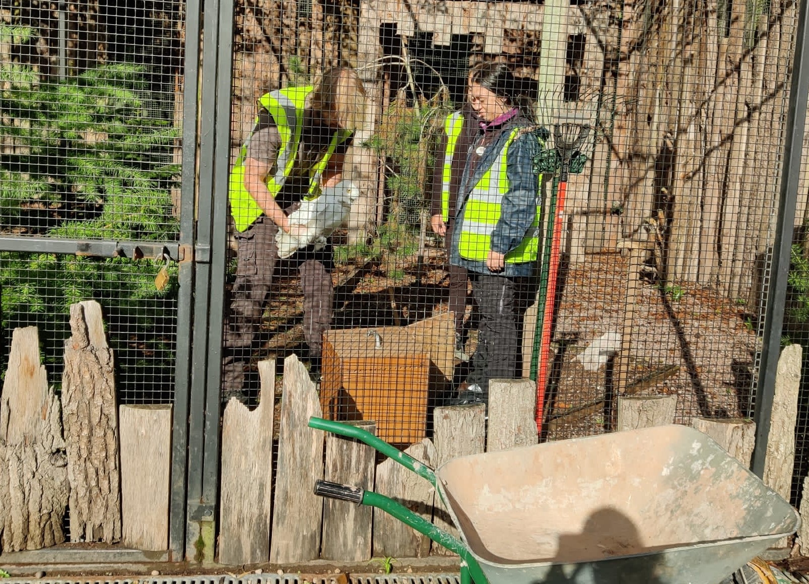 Zoo partnership enhances students' practical skills DCG