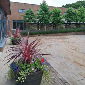 Ilkeston Community Colleges plant and tree display