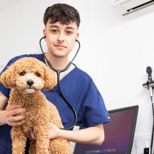 Former Derby College student Cole in his veterinary PPE holding a dog.