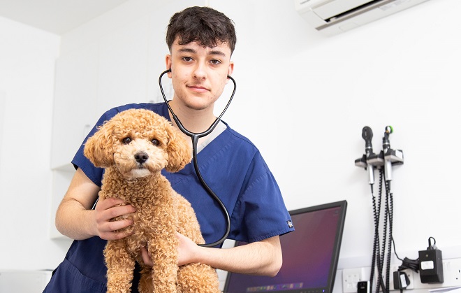 Former Derby College student Cole in his veterinary PPE holding a dog.