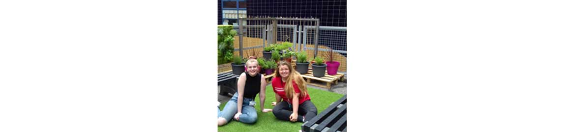 Students in the urban garden at joseph wright centre