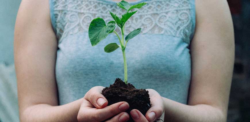 Girl holding a plant in cupped hands
