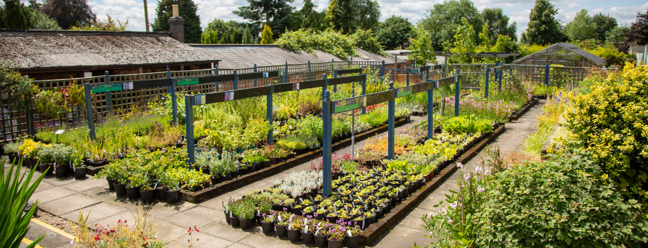 plant centre at Broomfield Hall
