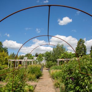 Gardens at Broomfield Hall.