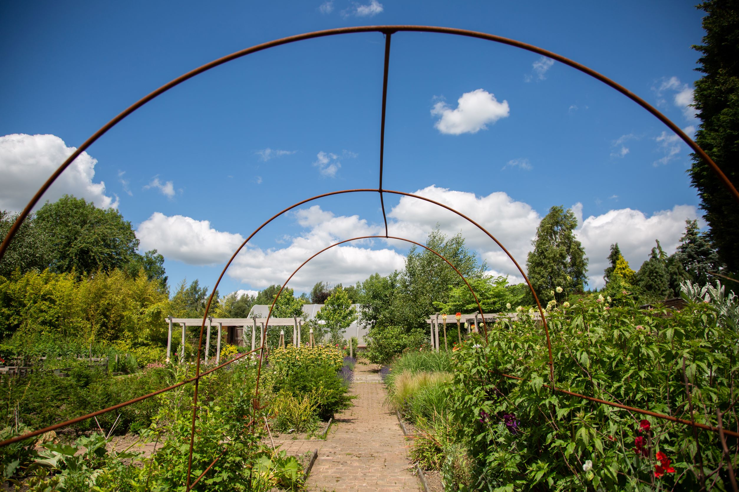 Gardens at Broomfield Hall.