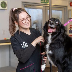 Dog grooming student with a happy dog.