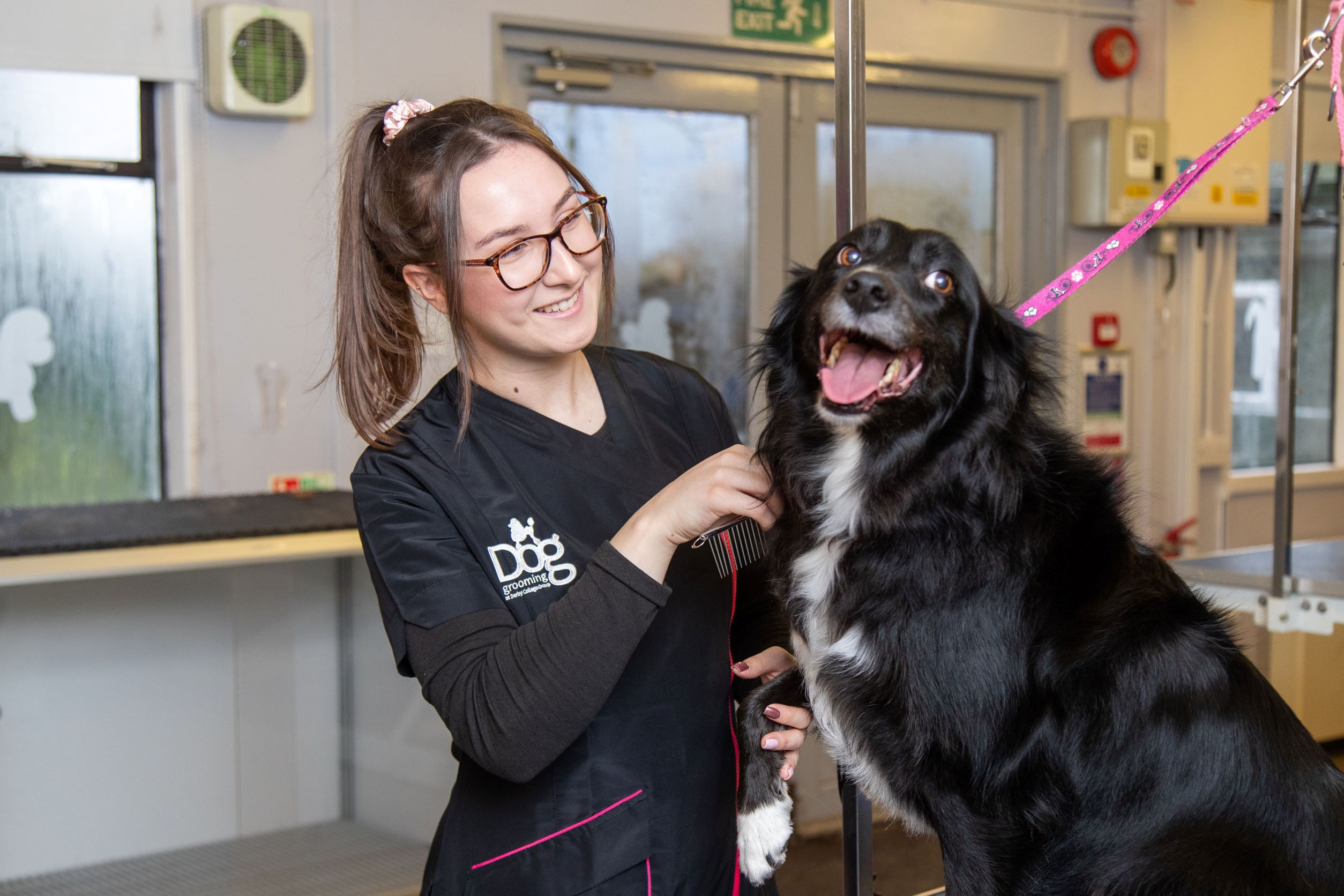 Dog grooming student with a happy dog.