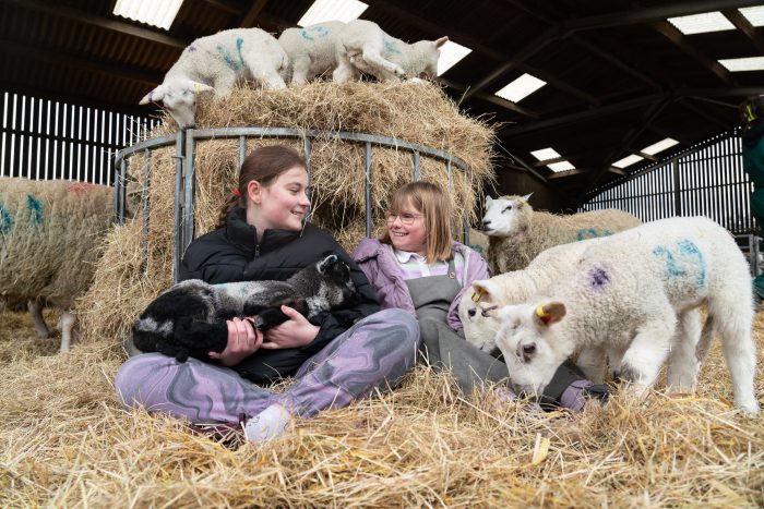 Animal Care student stroking a new-born lamb with a child at Broomfield Hall's Lambing Sunday.