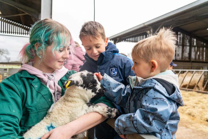 Agriculture student showing the lambs to a child at Labmbing Sunday.