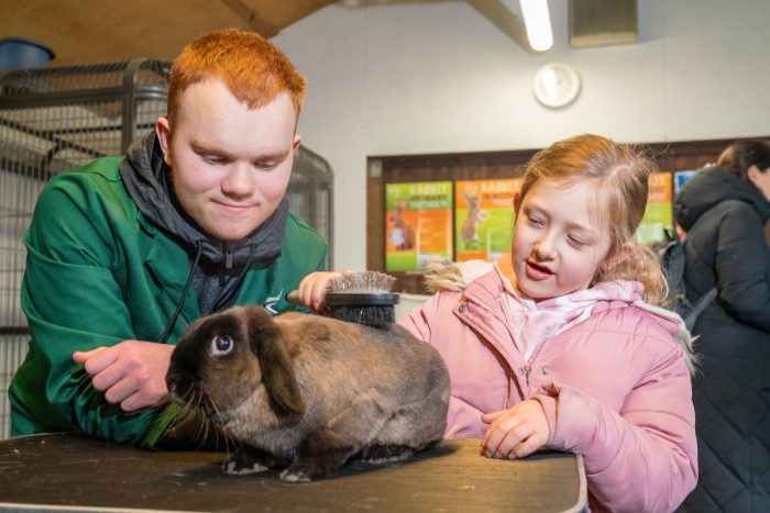 Child at Lambing Sunday stroking a rabbit next to an ANimal Care student.