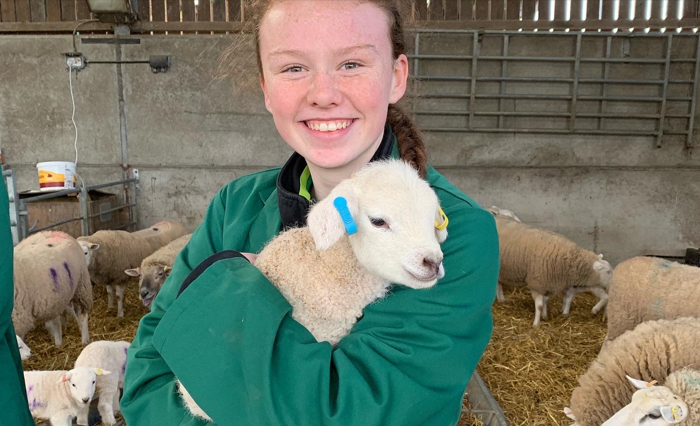 Female student wearing green overalls holding a lamb.