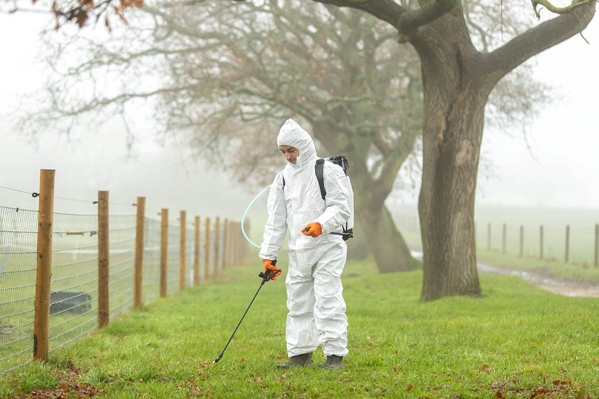 Student Spraying Grass