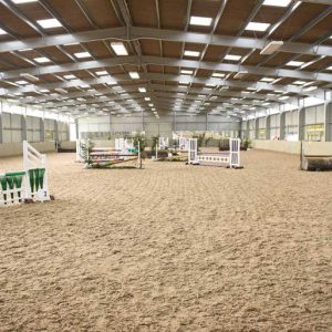 Equine centre with hurdles and other obstacles.