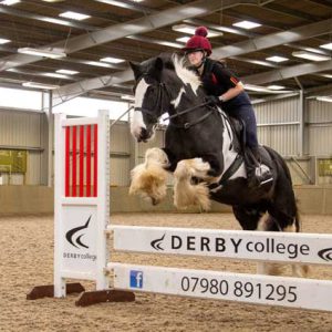 Horse rider jumping a horse over a gate.