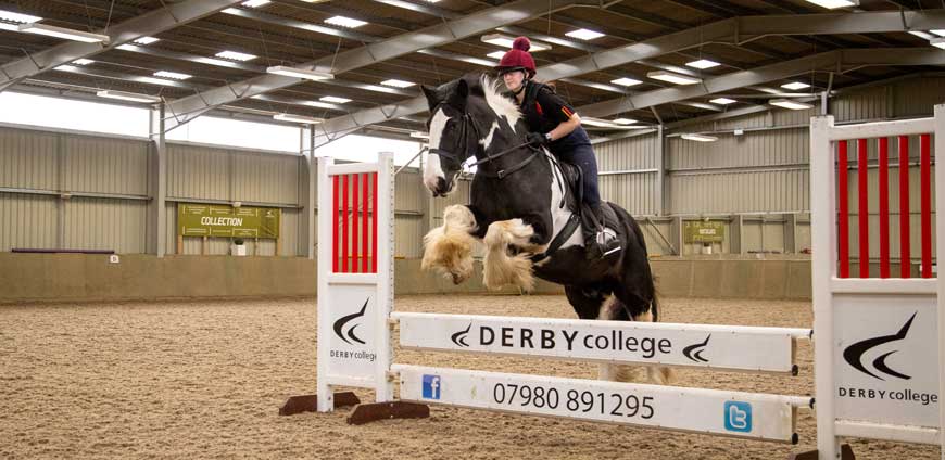 Horse rider jumping a horse over a gate.