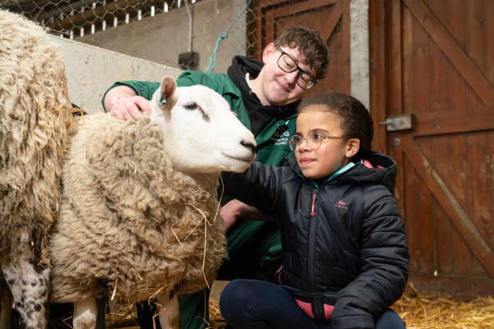 Young male and a young girl stroking a lamb.