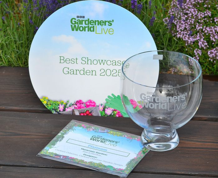 Carleen's commemorative plate and glass trophy 