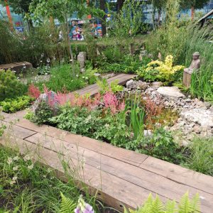 A 'meditation' garden with plants and gravel.
