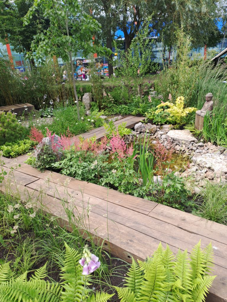 A 'meditation' garden with plants and gravel.