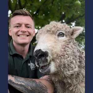 Former Derby College and Animal Care student Tom Costello with a sheep
