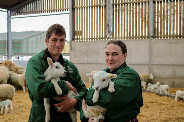 Agriculture students handling lambs at Broomfield Hall, Derbyshire.