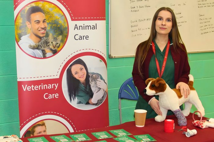 Representative standing at an Animal Care and Veterinary Care display table with leaflets and a demonstration dog model at the DCG Industry Insights event.