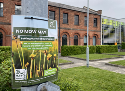No Mow May