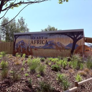 Heart of Africa development at Chester Zoo where Derby College Group apprentices contributed during their apprenticeship programme