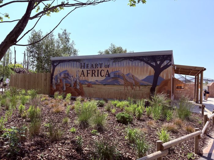Heart of Africa development at Chester Zoo where Derby College Group apprentices contributed during their apprenticeship programme