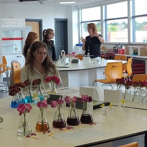 T Level Science students working on their projects for Myton Horticulture